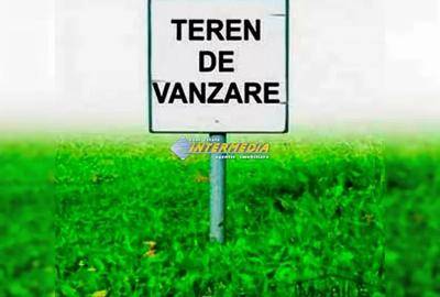TEREN INTRAVILAN I DE VANZARE I 1087 MP I COSLARIU I LA DRUM ASFALTAT I - 1