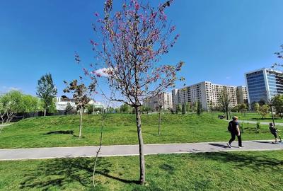 Exigent Plaza Residence faza 2 superba - 16