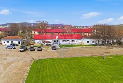 Spațiu industrial 4.4Ha Teren și 15.000mpc - Zona Industrială - Hârlău - 13