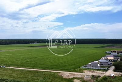OPORTUNITATE INVESTIȚIE:Teren intravilan 25.000mp Dascălu-Pădure, parcelabil - 5
