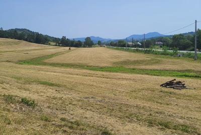 Teren intra si extravilan in Vad, Copalnic-Mănăștur, Maramures - 1