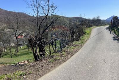 Teren 1,106mp Baia Mare / Strada Firiza - 9