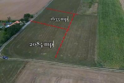Teren intravilan de 1633 mp, în Feldioara