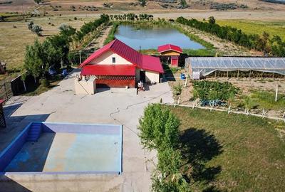 Proprietate deosebita de vanzare | Casa, 13.200 mp teren, doua iazuri cu peste | - 1