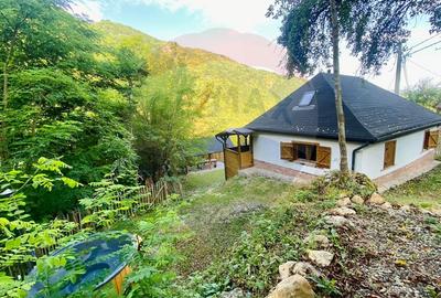 Casă de vacanță deosebită cu ciubăr si saună - natura si relaxare - 45