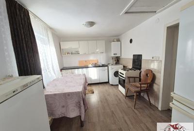 Casă individuală cu 3 camere în Săliștea