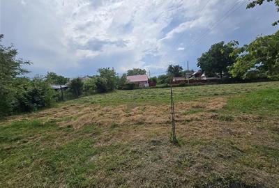 Proprietate de vanzare in Sat Izvoare, com. Bahna, judetul Neamt - 15