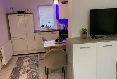 Casa Noua Individuala Dragsina la 13 km de Timisoara - 5