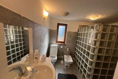 REFUGIU DIN INIMA NATURII,CASA  DE VANZARE ,144mp COMANDAU/ COVASNA - 25