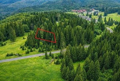 Teren cu potential:1.000 mp,proiect turistic/rezidential,Poiana Brasov - 1