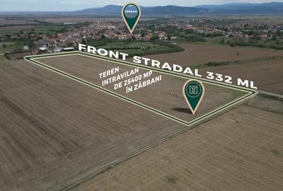 Teren intravilan de 25400 mp cu potențial excepțional pentru investiție în Zăbra - 1