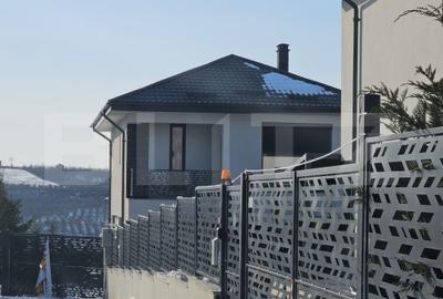 Vila de lux 4 camere in zona Visan - 2