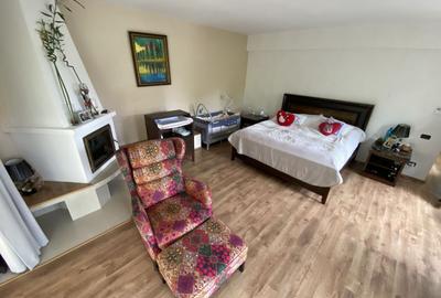 Vila superba - 7 camere - vanzare - Iancu Nicolae - Padurea Baneasa - 11