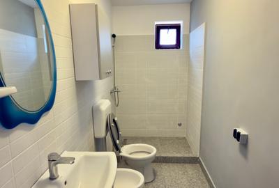 Casa Individuala | 5 camere | 2 Bai | P+1 | Renovata | Teren 500mp | Sat Snagov - 17