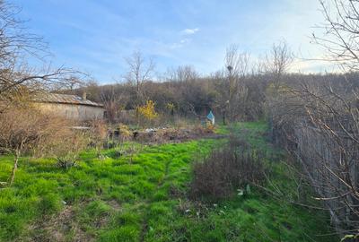 Vanzare Teren Bulbucata Girgiu - 3