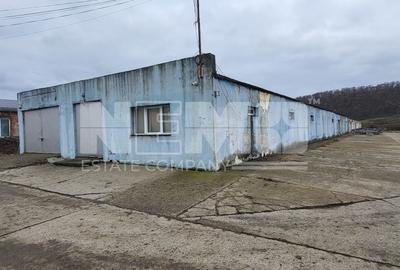 DEPOZIT I HALA DEPOZITARE I SUCEAVA I TEREN 3000mp - 1