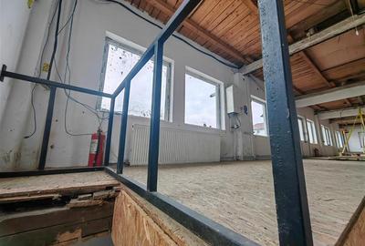 Hala de 300 mp - central - in zona Parneava - 6
