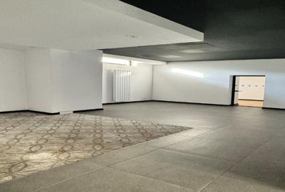 Spațiu comercial, 179 mp în Moșilor