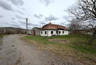 HALE INDUSTRIALE | CLADIRE BIROURI | TEREN 7000 MP | GHEGHIE BIHOR - 12