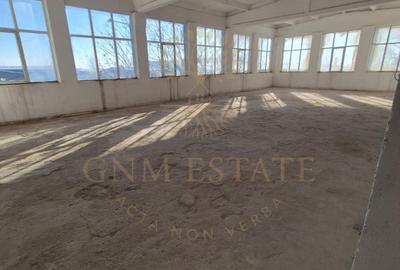 Vanzare Hala 3750 mp   sector 3 Drum intre Tarlale - 13