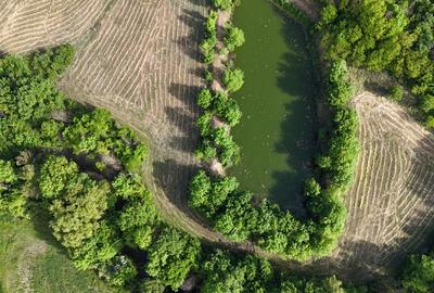Teisori domeniul verde cu baltă de pește ,Neajlov,,Padure - 7