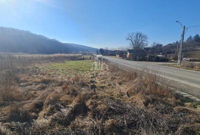 Teren 1000 Mp Intravilan De Vanzare, Langa Lac, Ivanesti - 2