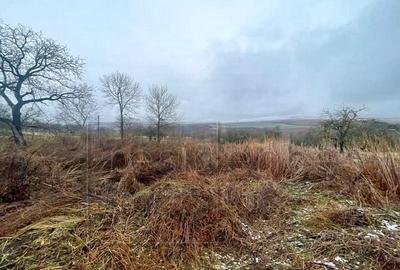 Teren 3200 mp! Casa 2 camere+bucatarie de vara+grajd, Aiton - 9