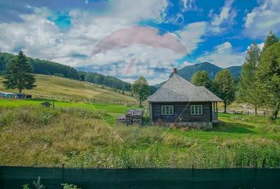 Pensiune Raw Nature, Vama Buzăului - 31