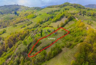 Teren 11,342 mp Poiana Marului /Extravilan/Oportunitate investiție - 1