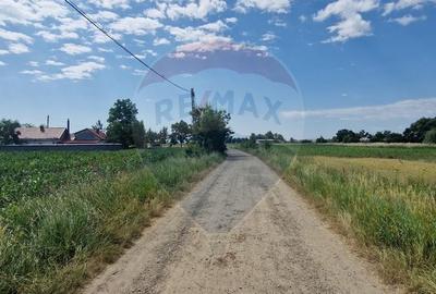 De vanzare teren 10.001 mp sat Oniscani, comuna Filipesti - 1