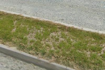 Vand teren intravilan cartier Magureni, municipiul Calarasi - 4