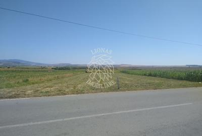 Teren agricol extravilan de 20000 mp, în Jelna