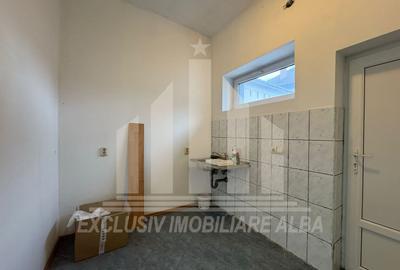 Casa individuala | Spatiu comercial | 306 mp | 415 mp teren | Maieri - 12
