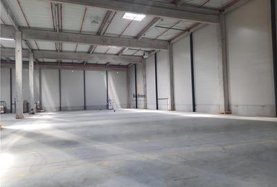 Spatiu Industrial - 3000 mp - Logistica - Productie - Depozitare - 13