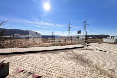 VanzareITeren Suceava/Itcani  I Intravilan I  12.478 Mp I 109 Euro/Mp - 4
