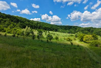 Teren Pasune + Arabil - Valea Mare Podgoria Arges - 14
