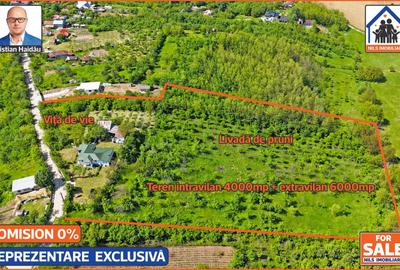 Casa renovata 141mp   Teren 10.000mp | Podenii Vechi - PH - 3