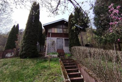 Proprietate de vacanta Valea Oltului - BREZOI - 2