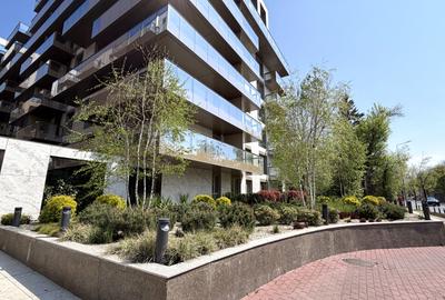 De inchiriat  | Apartament 2 Camere | Cortina 126 Erou Iancu Nicolae Voluntari - 19