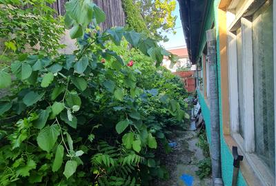 Vanzare proprietate, in Galati, langa Spitalul Militar, sup.teren 712mp - 3