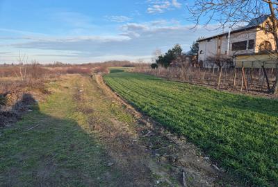 Vand teren in Tandava cu deschidere la PADURE (Gradinari, Giurgiu) - 1