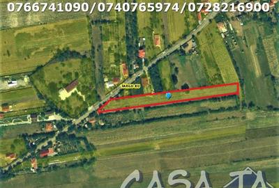 Teren Intravilan (3550 mp), Frasinetului - Preajba - 4