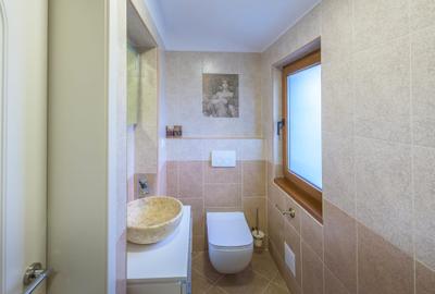 De inchiriat Mansarda in Dorobanti 2 camere - 14