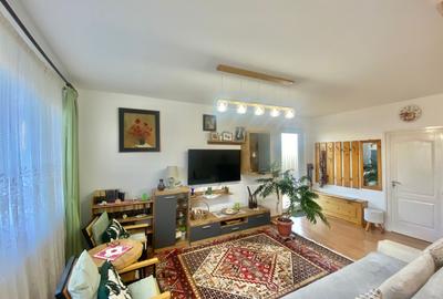 2 Case in regim P+M cu 9 camere, 3 băi, teren 1811mp, front 30m, Paleu - 4