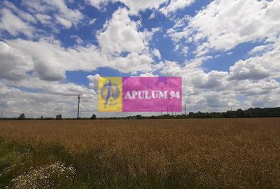 Teren 715mp în Snagov lângă Equestria - 35