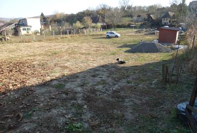 De vanzare teren pentru constructie in Sanvasii - 3