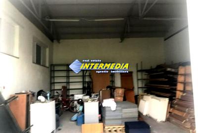 HALA CU MULTIPLE ACTIVITATI I 265  MP I TEREN 608 MP I Alba Iulia I - 5