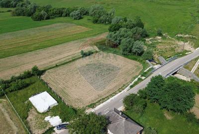 DE VÂNZARE TEREN INTRAVILAN SAU PARCELA – Șomcuta Mare (0% comision) - 3