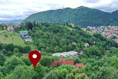 Teren Intravilan - Vedere Panoramica - 1