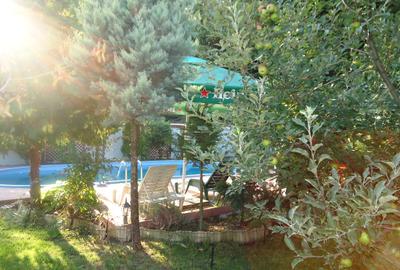 Vila piscina superba gradina matura cu iesire directa la padure - 29